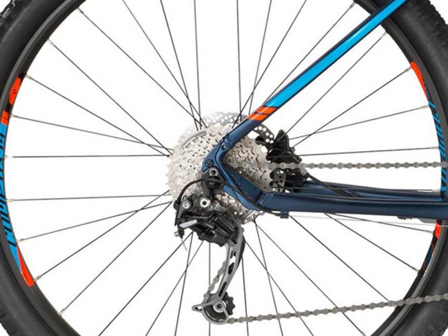 Junior MTB Junior MTB