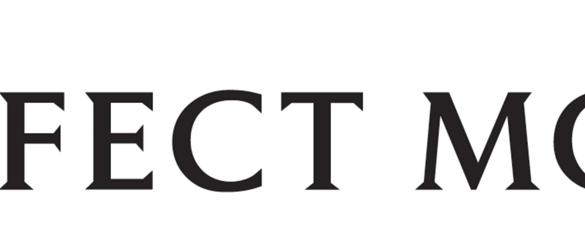 Perfect Moment Perfect Moment