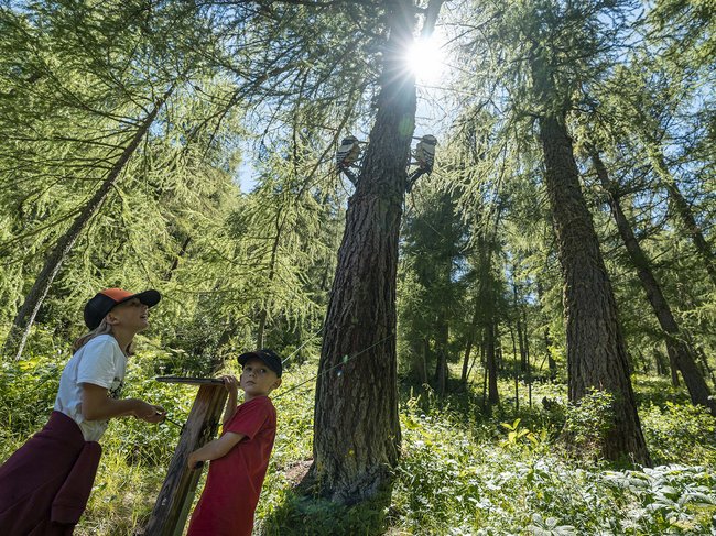 Hangl in Samnaun: for family holidays in Switzerland Hangl in Samnaun: for family holidays in Switzerland